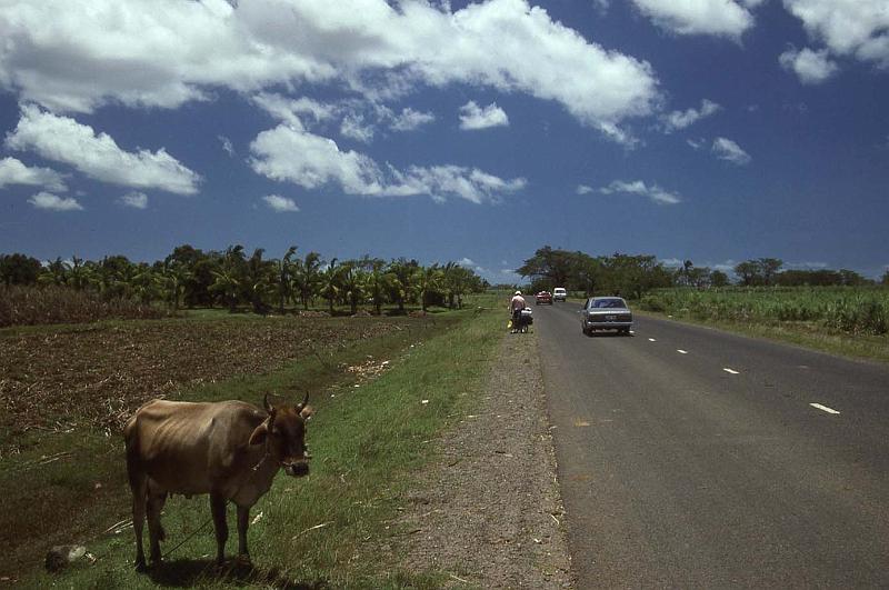 WT 0100 003-38 Fiji.jpg